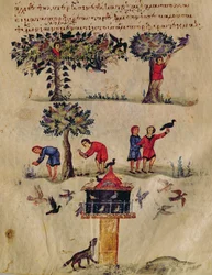 Hunting for Birds, Illustration Probably from the Ixeutika by Oppian