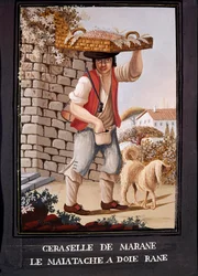 Old Neapolitan Trades: The Seller of Cherries from Marasca