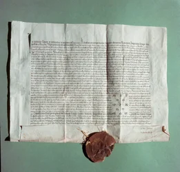 Official Document of Emperor Charles IV Certifying the University of Siena