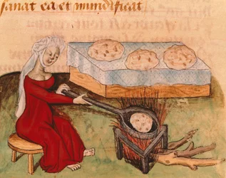 Page from the Tractatus de Herbis