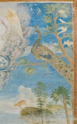 Peacock (detail)