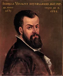 Portrait of Andreas Vesalius (1514-1564), Anatomist and Doctor of Charles V (16th Century)