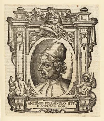 Portrait of Antonio del Pollaiuolo