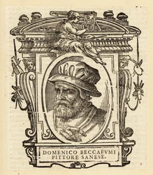 Portrait of Domenico di Pace Beccafumi