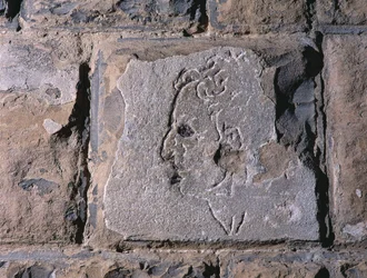Profile of a man
