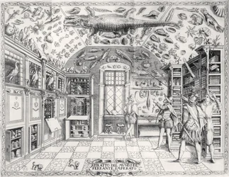 The Natural History Museum of Emperor Ferdinand III from Historia Naturale by Ferrante Imperato, published in 1672