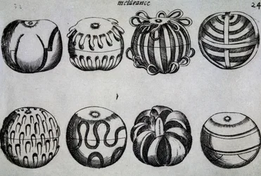 Ways to chop fruit, illustration from Li tre trattati di messer Mattia Giegher bavaro di Mosburc, Trinciante dell