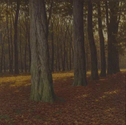 Woody Landscape