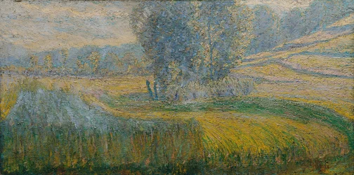 The Field of Rafolče