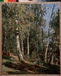 Birch Grove. Painting by Ivan Ivanovich Shishkin