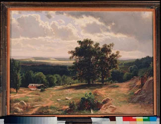 Oaks, Landscape near Dusseldorf