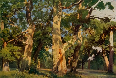Oak Trees at Eventide, 1887