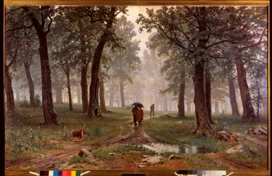 Rain in an Oak Forest