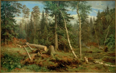 I.I. Shishkin, Logging