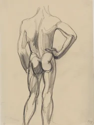 Male Model, Seen from the Back