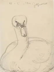 Swan