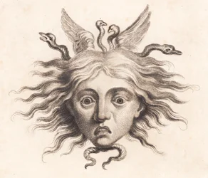 Medusa Head
