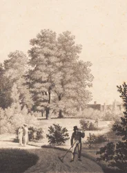 Nordfeldt
