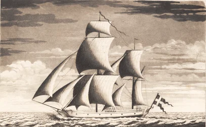 Suite of Ships