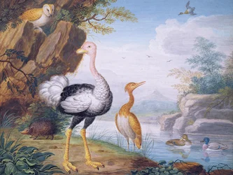 Exotic birds and an owl on the banks of a river