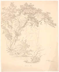 Trees
