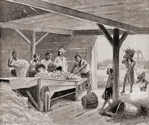 Slaves working with a 19th century cotton gin on a plantation in a southern state of the United States of America, from “The History of Our Country”, published 1905