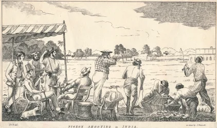 Pigeon Shooting in India, 19th century
