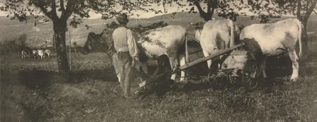 Ploughing Team
