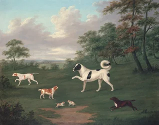 Sporting dogs in a landscape
