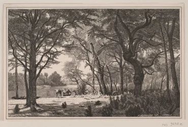 Jutland Forest Scene