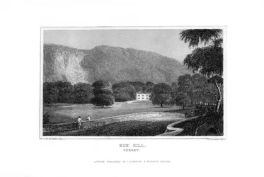Box Hill, Surrey
