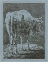 Cow in a Landscape