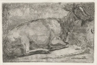 Lying Goat