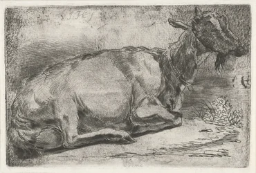 Lying Goat