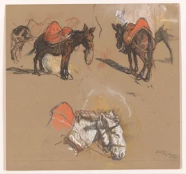 Studies of Donkeys and a Mule at the Grand Market in Tangier