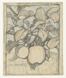 Emperor Alexander Apples