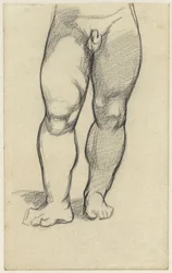 Lower Body of a Naked Boy