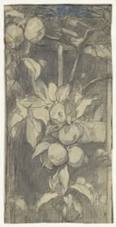 Bunch of Keizer-Alexander Apples