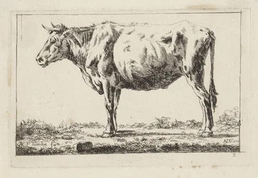 Standing Ox, Facing Left