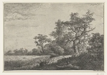 The Cornfield