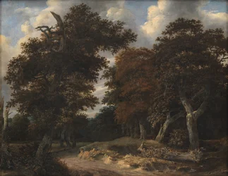 Road through an Oak Forest