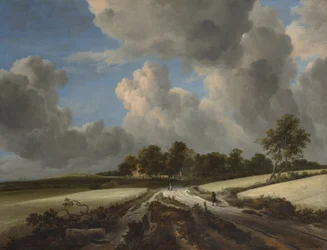 Wheat Fields