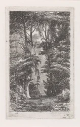 Forest Lane