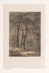 Jacoba Arbor