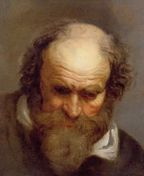 Head of an Old Man