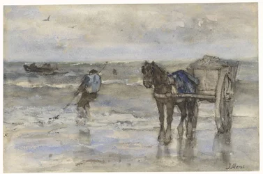Shell Fisherman on the Beach