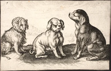 Three Small Dogs