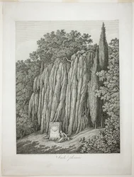 Weeping Willow