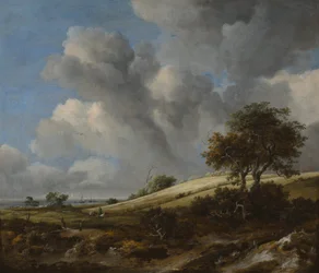 A Cornfield with the Zuiderzee in the Background, c. 1660