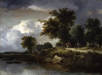 A Wooded River Bank